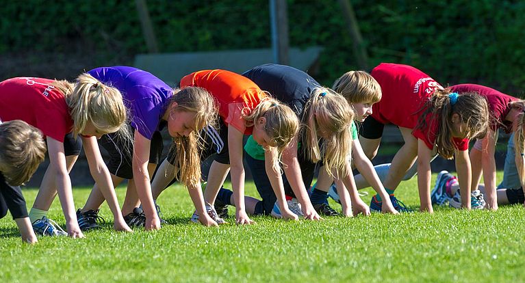 LSB-Fördermittel für laufende oder geplante Projekte